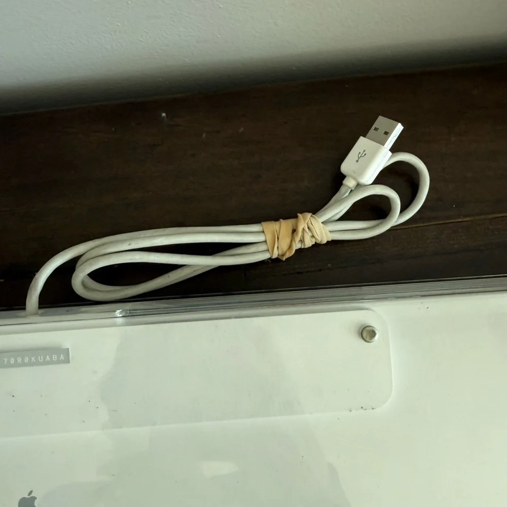 Vintage Apple Pro Keyboard A1048 Wired USB Full Size